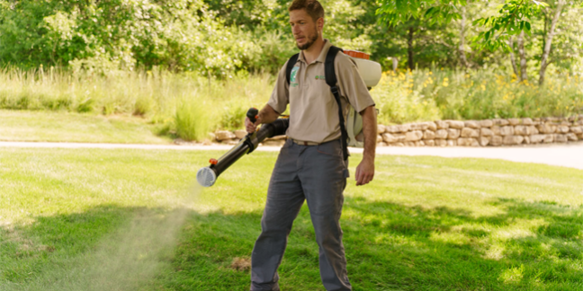 Organic Mosquito Treatment Eco Tree Company Tree Doc applying organic mosquito treatment