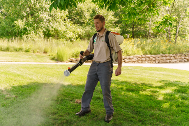 Organic Mosquito Treatment Eco Tree Company Tree Doc applying organic mosquito treatment