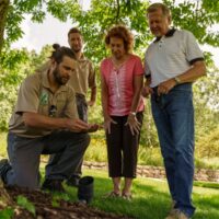 ECO_services_image1_1 Tree care services