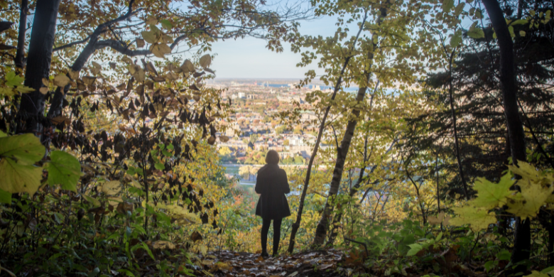 how to build healthy soil for trees woman in trees over city