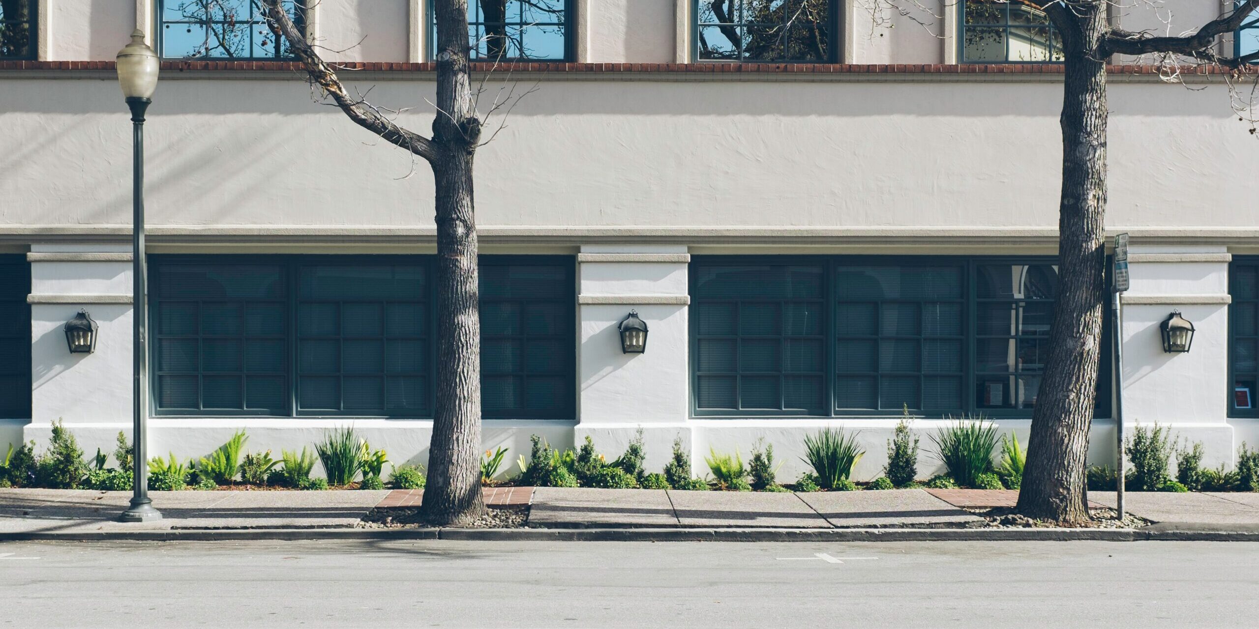 threats to trees dangers to trees