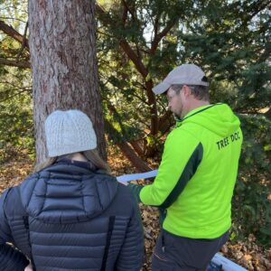 tree doctor madison wi performing tree assessment