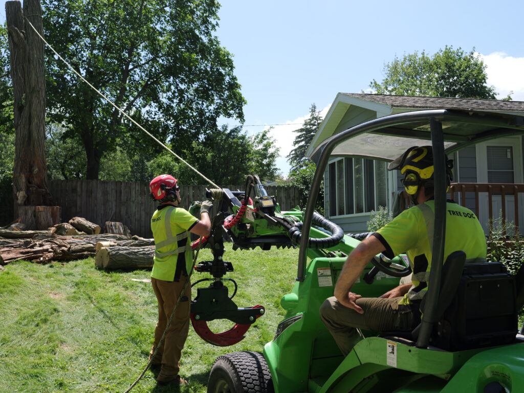 Eco Tree Company Tree Docs Performing a Tree Removal in Madison WI