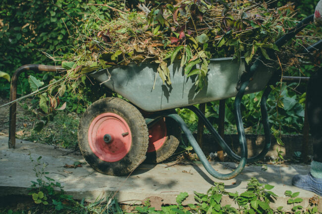 Spring & Fall Cleanup_eco tree